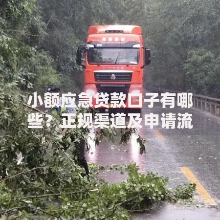 小额应急贷款口子有哪些？正规渠道及申请流程全解析