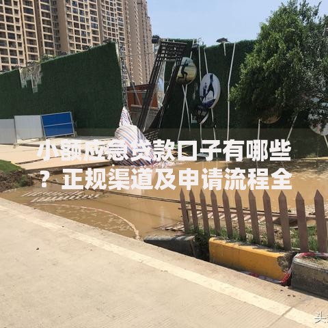 小额应急贷款口子有哪些？正规渠道及申请流程全解析
