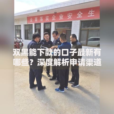 双黑能下款的口子最新有哪些？深度解析申请渠道与注意事项