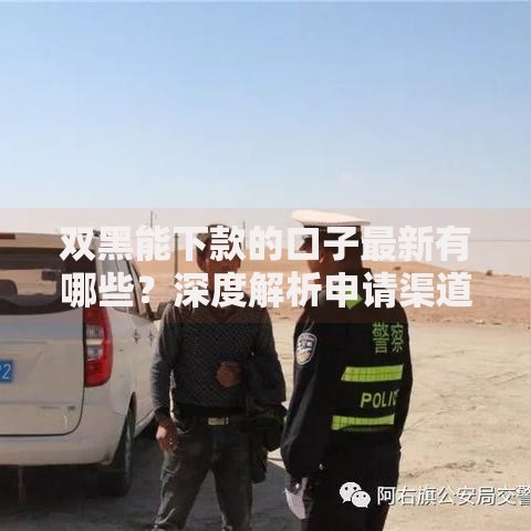 双黑能下款的口子最新有哪些？深度解析申请渠道与注意事项