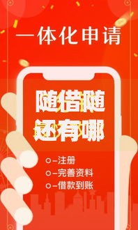 随借随还有哪些口子？灵活借贷平台权威解析