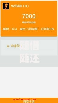 随借随还有哪些口子？灵活借贷平台权威解析