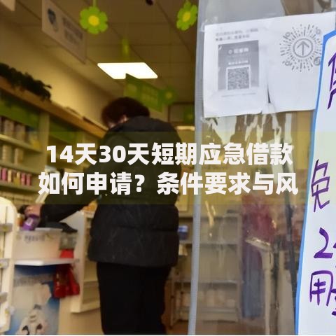 14天30天短期应急借款如何申请？条件要求与风险解析