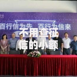 不用查征信的小额贷款平台有哪些可以下款?正规渠道解析 不用查征信的小额贷款平台有哪些可以下款?正规渠道解析