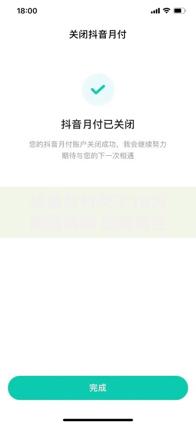 抖音月付欠了10万能起诉吗 法律责任与应对策略解析