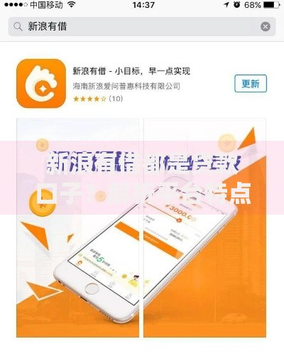 新浪有借都是贷款口子？解析平台特点与申请流程