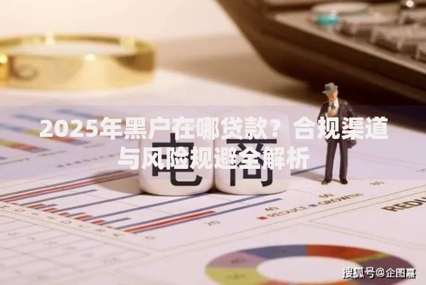 2025年黑户在哪贷款？合规渠道与风险规避全解析