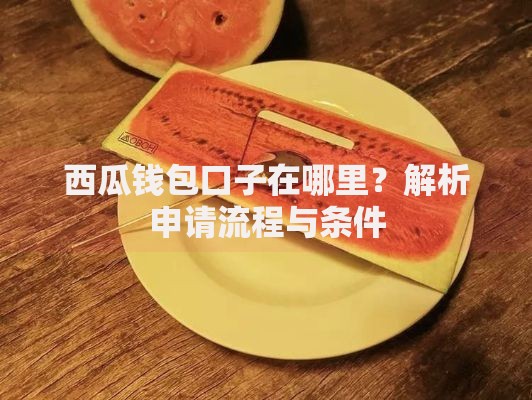 西瓜钱包口子在哪里?解析申请流程与条件 西瓜钱包口子在哪里?解析申请流程与条件