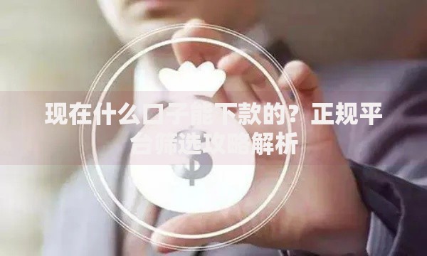 现在什么口子能下款的？正规平台筛选攻略解析