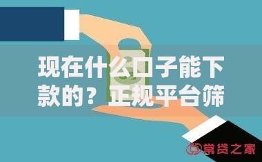 现在什么口子能下款的？正规平台筛选攻略解析
