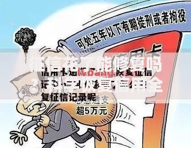 征信花了能修复吗?科学恢复信用全攻略 征信花了能修复吗?科学恢复信用全攻略
