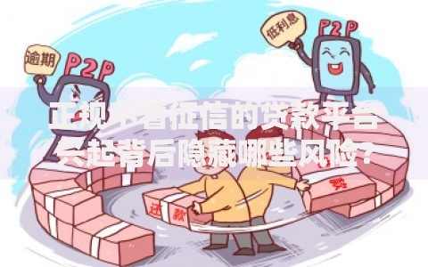 正规不看征信的贷款平台兴起背后隐藏哪些风险？