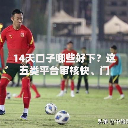 14天口子哪些好下？这五类平台审核快、门槛低、放款稳