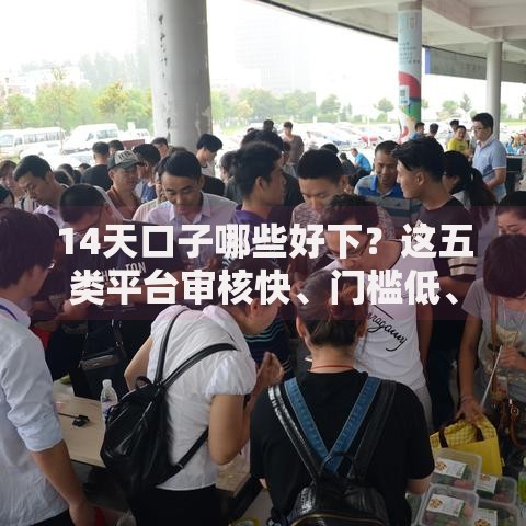 14天口子哪些好下？这五类平台审核快、门槛低、放款稳