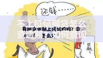 不上征信网贷怎么查逾期?如何查询?详细解析流程 不上征信网贷怎么查逾期?如何查询?详细解析流程
