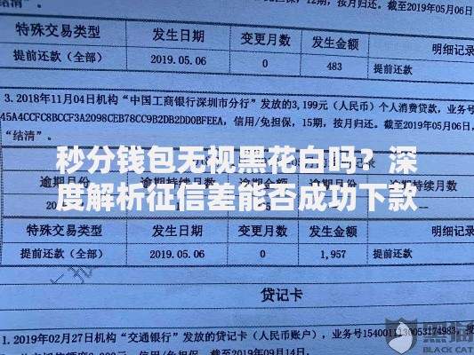 秒分钱包无视黑花白吗？深度解析征信差能否成功下款