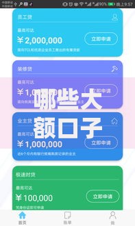 哪些大额口子能快速申请高额度贷款？