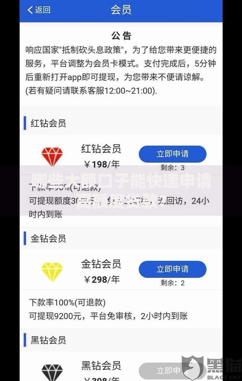 哪些大额口子能快速申请高额度贷款？