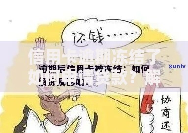 信用卡逾期冻结了如何申请贷款？解决方案详解