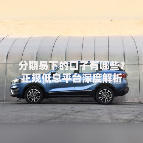 分期易下的口子有哪些？正规低息平台深度解析
