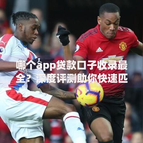 哪个app贷款口子收录最全？深度评测助你快速匹配需求
