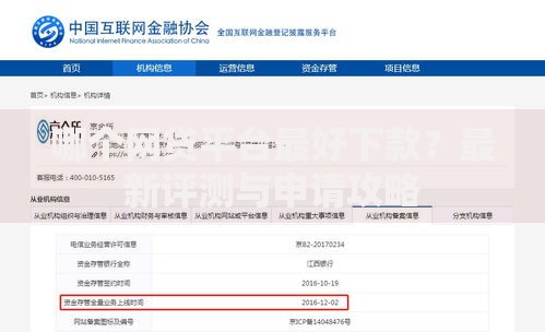 哪个网贷平台最好下款？最新评测与申请攻略