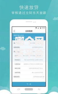 哪个网贷平台最好下款？最新评测与申请攻略