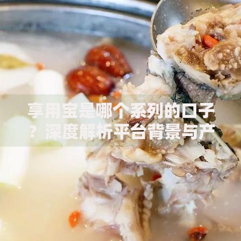 享用宝是哪个系列的口子？深度解析平台背景与产品关联