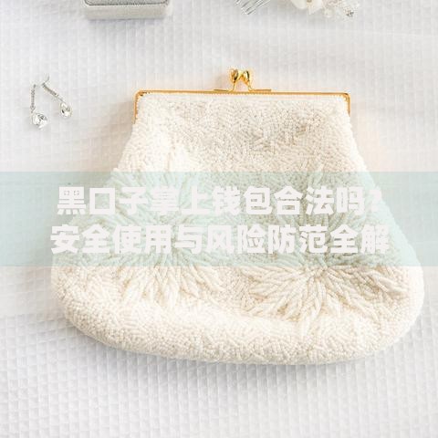 黑口子掌上钱包合法吗？安全使用与风险防范全解析