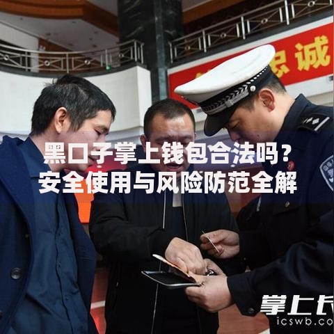 黑口子掌上钱包合法吗？安全使用与风险防范全解析