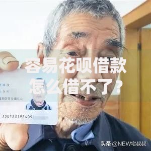 容易花呗借款怎么借不了？原因解析与解决方法