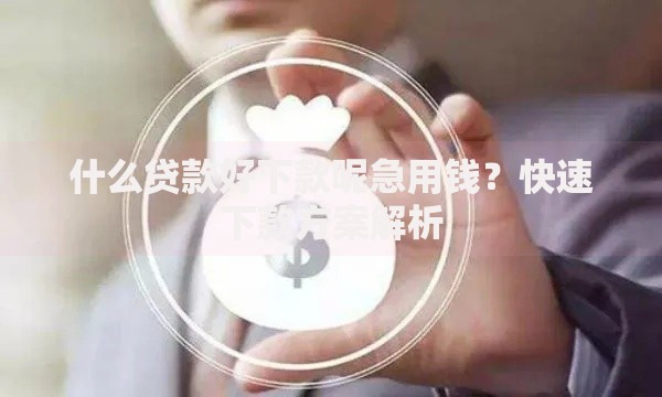 什么贷款好下款呢急用钱?快速下款方案解析 什么贷款好下款呢急用钱?快速下款方案解析