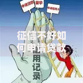 征信不好如何申请贷款？全面解析征信不良贷款攻略