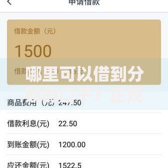 哪里可以借到分期的口子？正规平台选择与申请指南