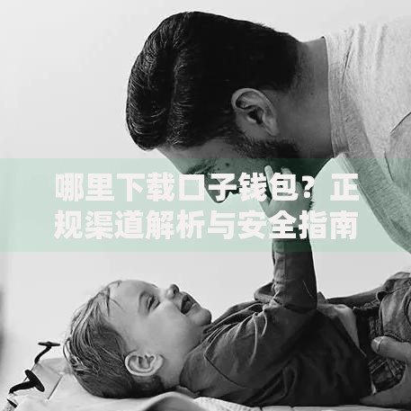哪里下载口子钱包？正规渠道解析与安全指南