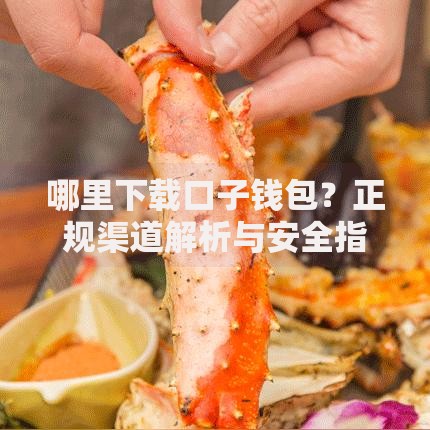 哪里下载口子钱包？正规渠道解析与安全指南