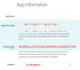 苹果高炮口子2025最新下款审核要求与操作指南