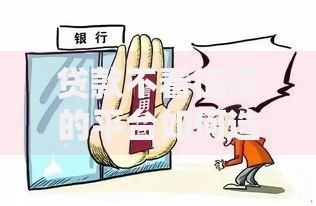 贷款不看征信的平台如何选择及风险规避指南