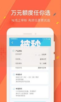 被秒拒还能下款的网贷：破解审核规则的借款渠道