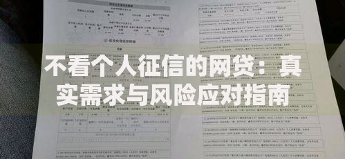 不看个人征信的网贷：真实需求与风险应对指南