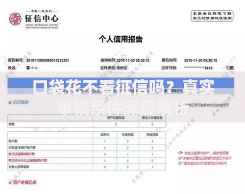 口袋花不看征信吗？真实审核条件深度解析