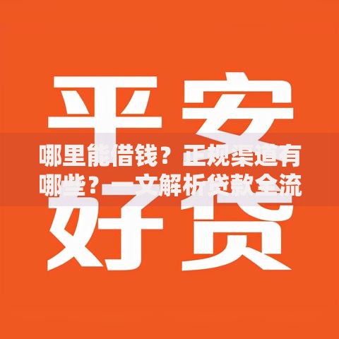哪里能借钱？正规渠道有哪些？一文解析贷款全流程