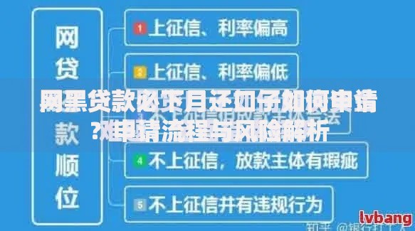 网黑贷款必下月还口子如何申请？申请流程与风险解析