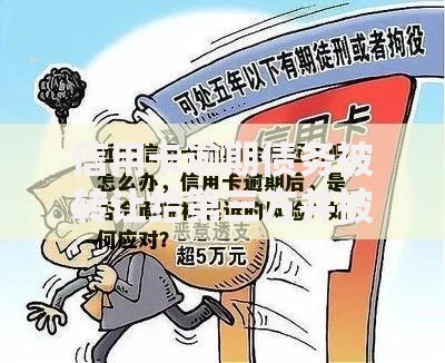 信用卡逾期债务被转让给第三方并被起诉：法律风险与应对指南