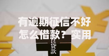 有逾期征信不好怎么借款？实用融资策略与风险规避指南