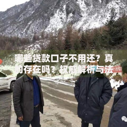 哪些贷款口子不用还？真的存在吗？权威解析与法律风险提示