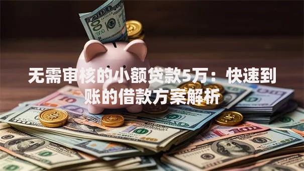无需审核的小额贷款5万：快速到账的借款方案解析