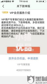 小猪优品贷款口子：申请条件与流程全解析