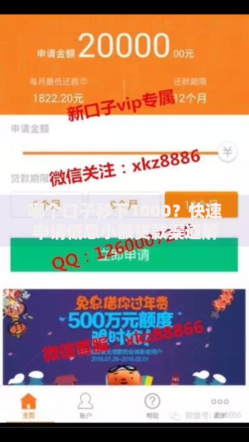 哪个口子秒下1000？快速申请低息小额贷款渠道解析
