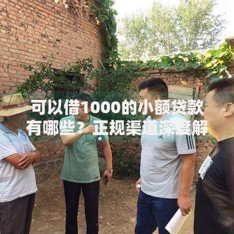 可以借1000的小额贷款有哪些？正规渠道深度解析